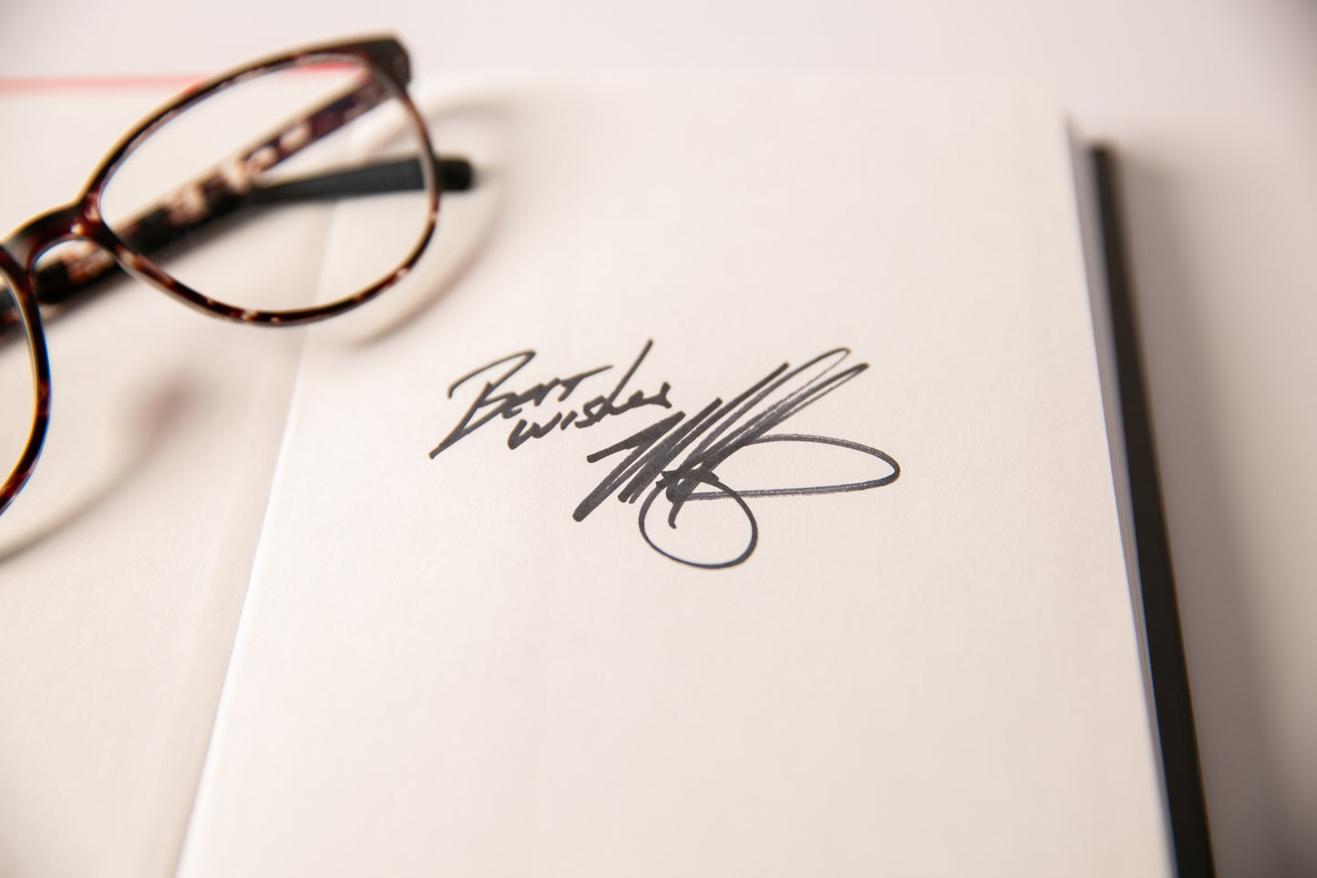 Book: Murder in the Mountains