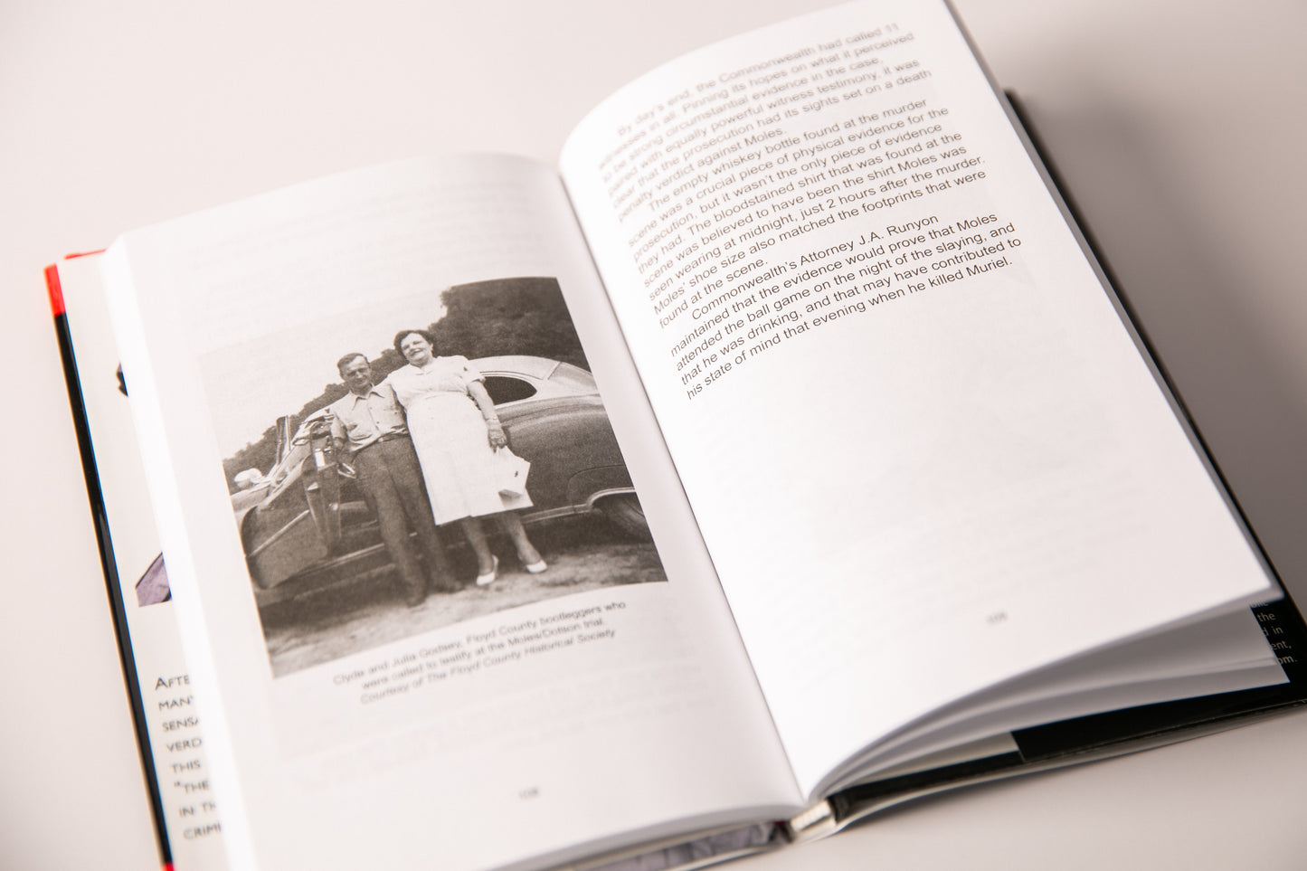 Book: Murder in the Mountains